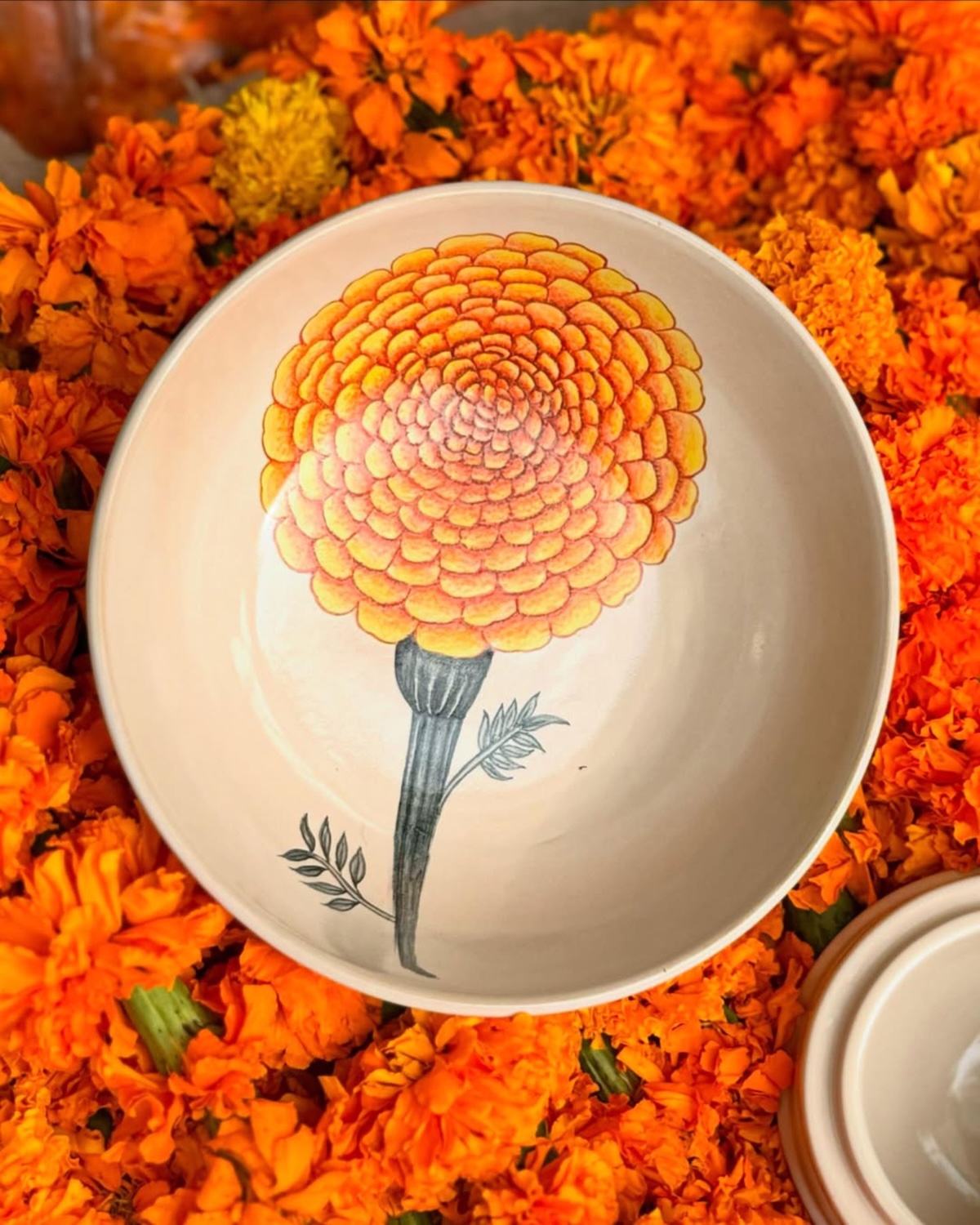 samsara-jaipur-khanoom-2