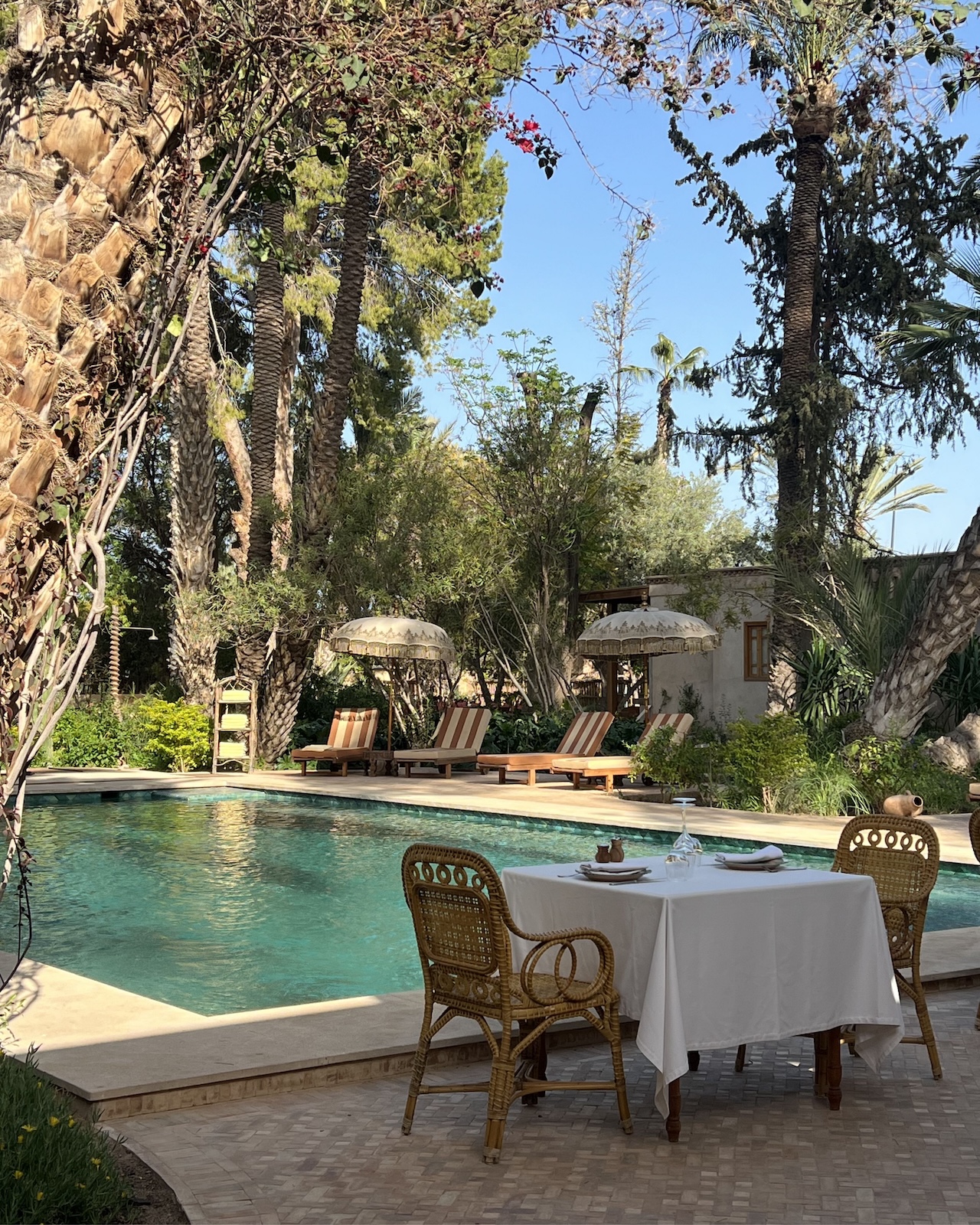 samsara-jnane-rumi-12