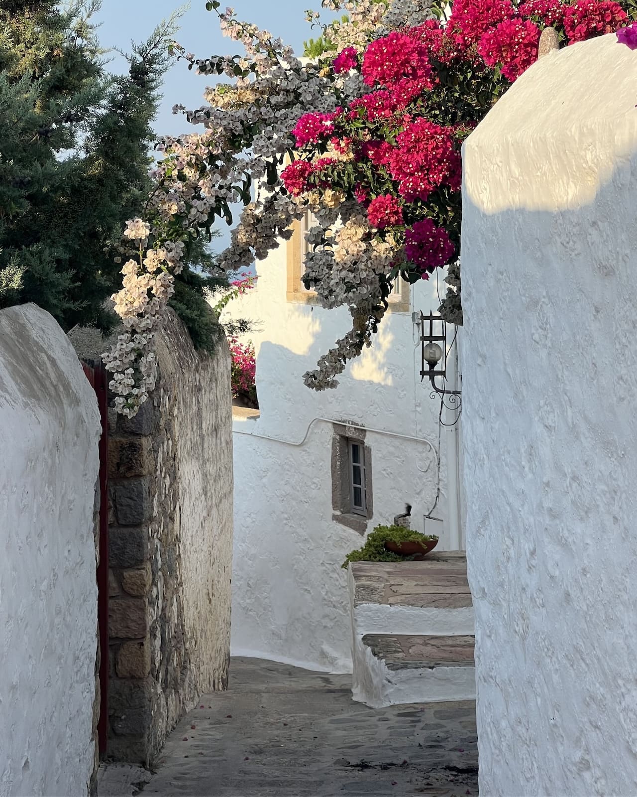 samsara-patmos-3
