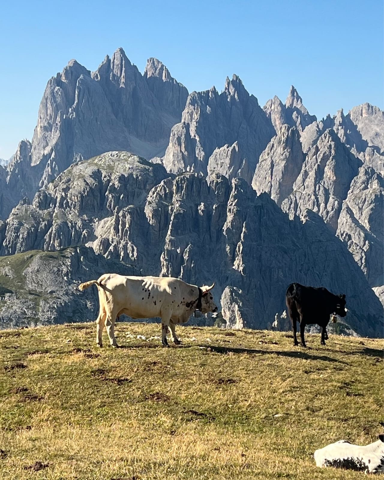 samsara-dolomites-7