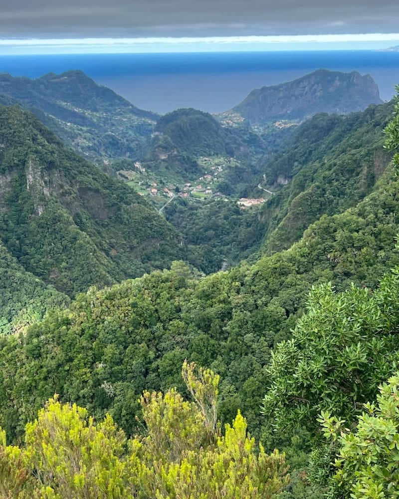 samsara-madeira-16