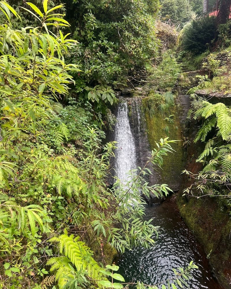 samsara-madeira-29