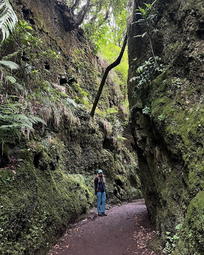 samsara-madeira-3